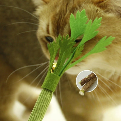Interactive Cat Chew Toys w/Catnip