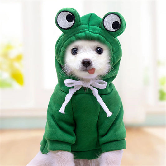 Cute Design Hoodie/Sweater