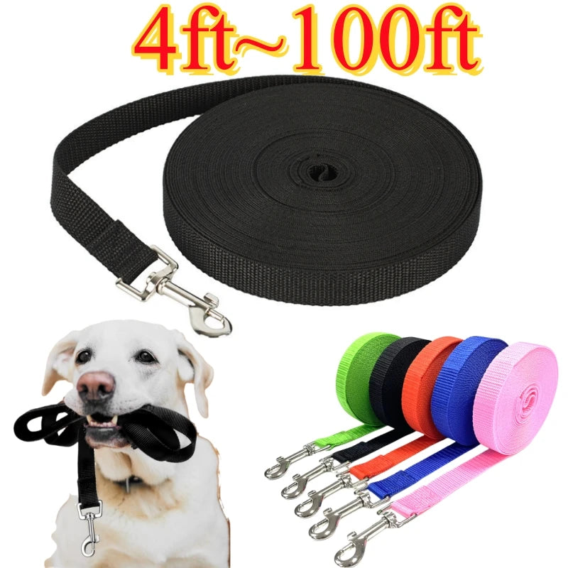 4ft-100ft Nylon Dog Leash