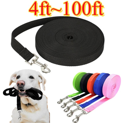 4ft-100ft Nylon Dog Leash
