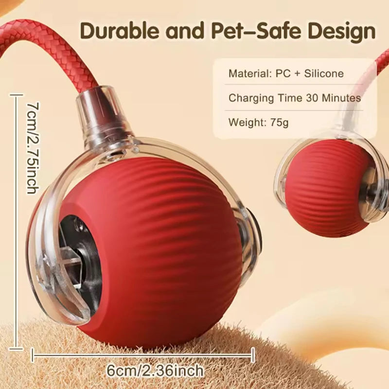 Self-satisfying Cat Toy