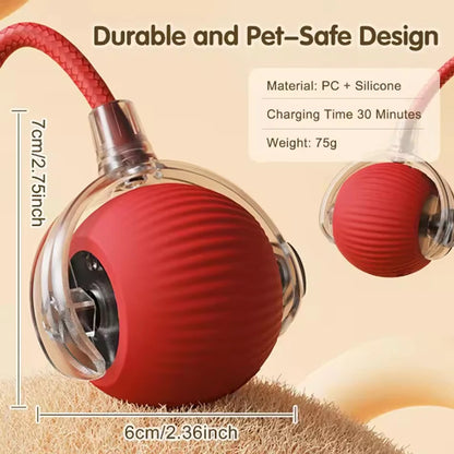 Self-satisfying Cat Toy