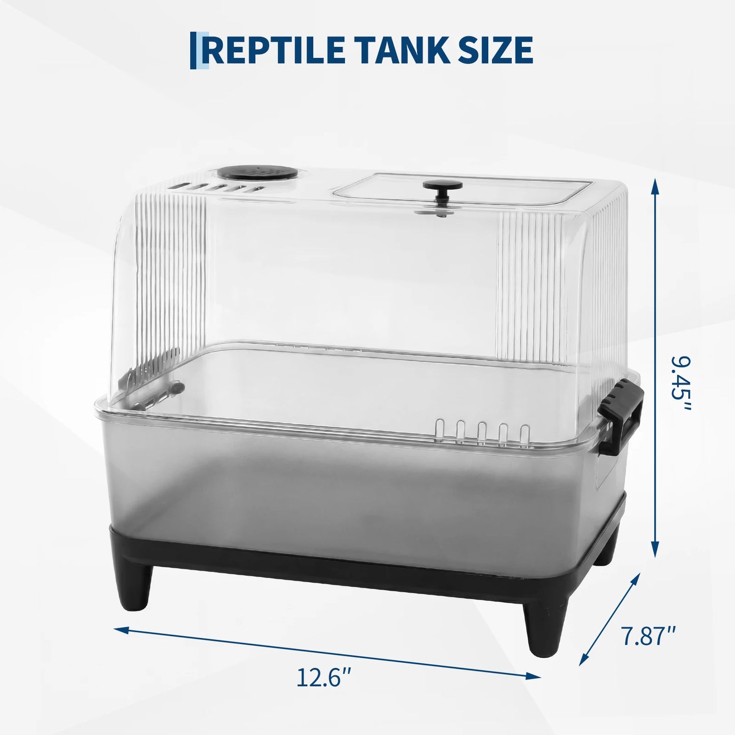 Small Reptile Tank Starter Kit