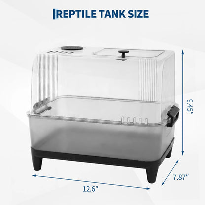 Small Reptile Tank Starter Kit