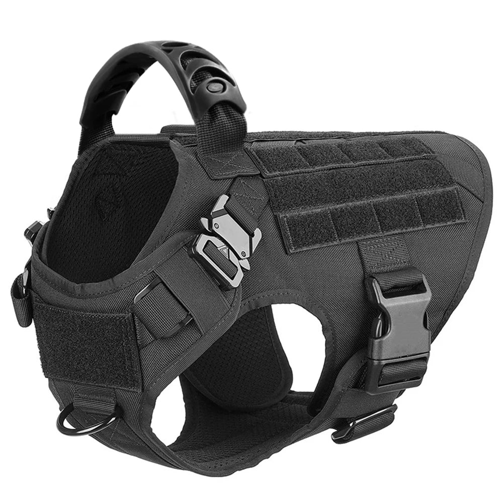 Large Dog Harness & Leash Set