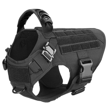 Large Dog Harness & Leash Set