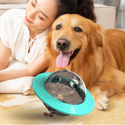 Chew Proof Flying Saucer Toy