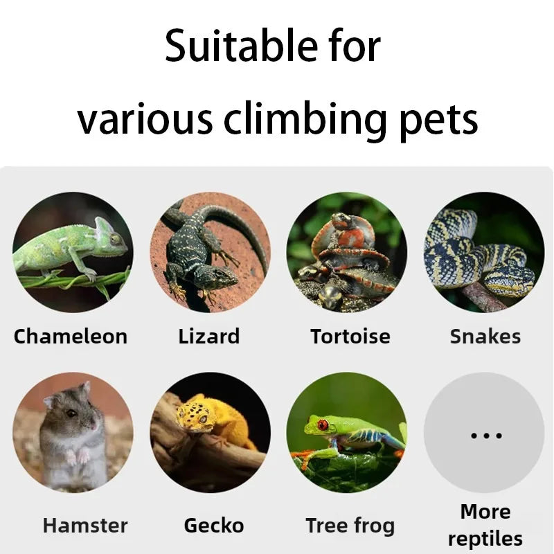 Tall Mesh Rainforest Reptile Terrarium