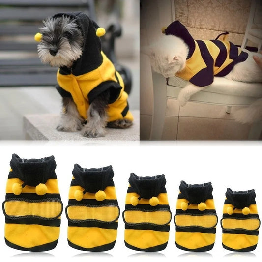 Fancy Bee Puppy Coat