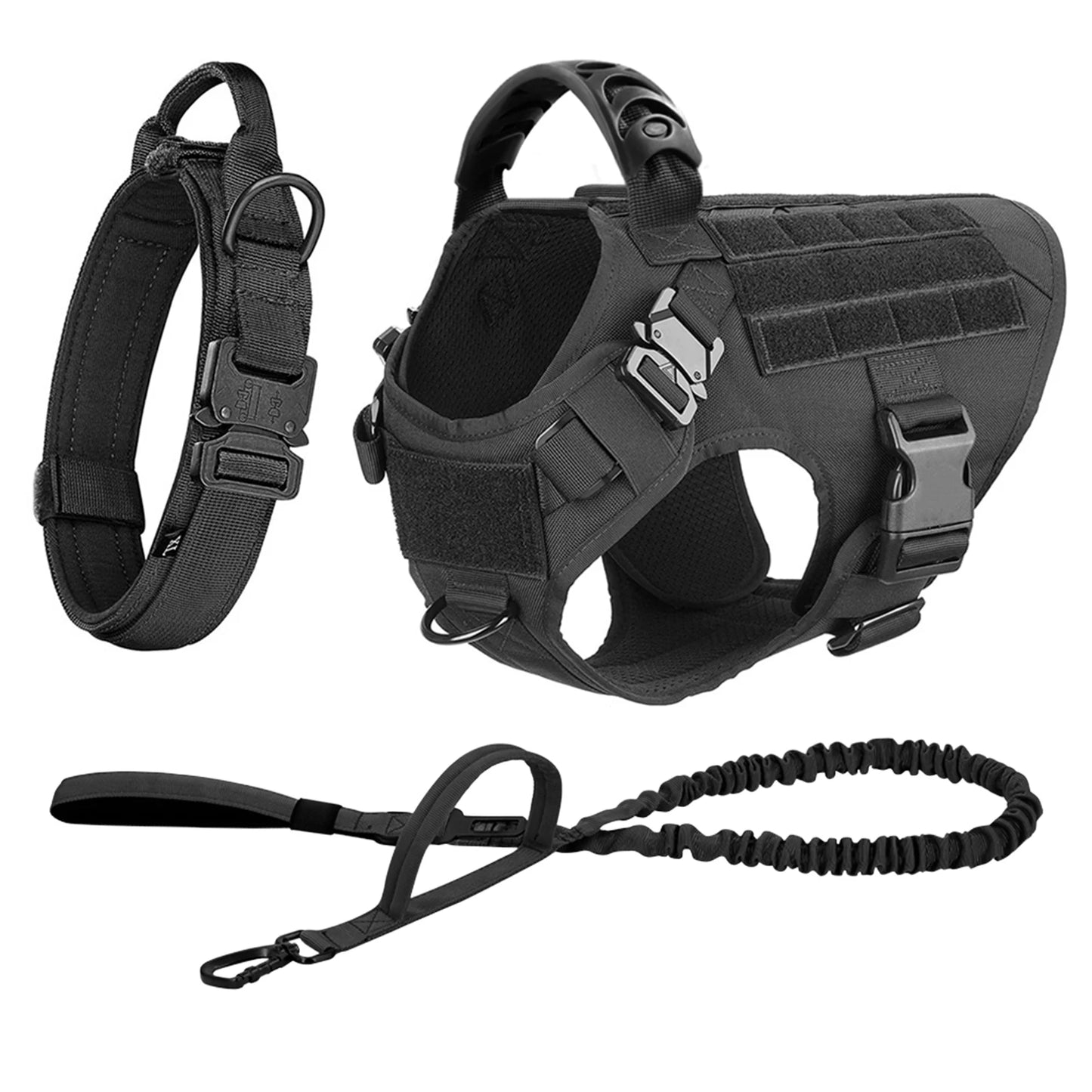Large Dog Harness & Leash Set