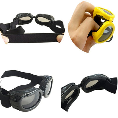 Fashion Small Dog Sunglasses w/UV Protection