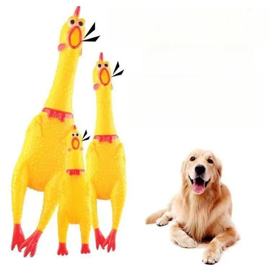 Squeaky Screaming Chicken Toy