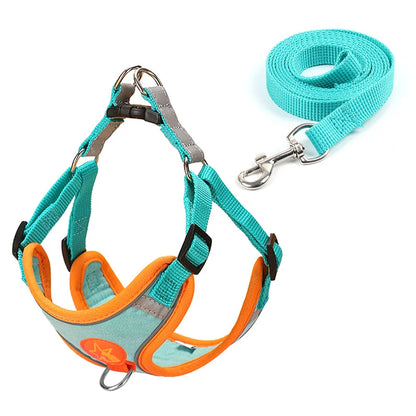 Sm/Med Reflective Vest & Leash for Walking
