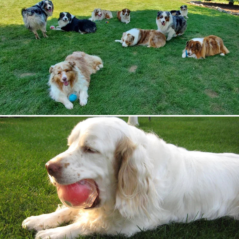 Amazing Squeaker Ball, Durable Floatable