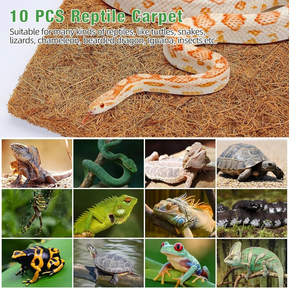 10 Pcs 12x12 in. Natural Coconut Fiber Reptile Carpet