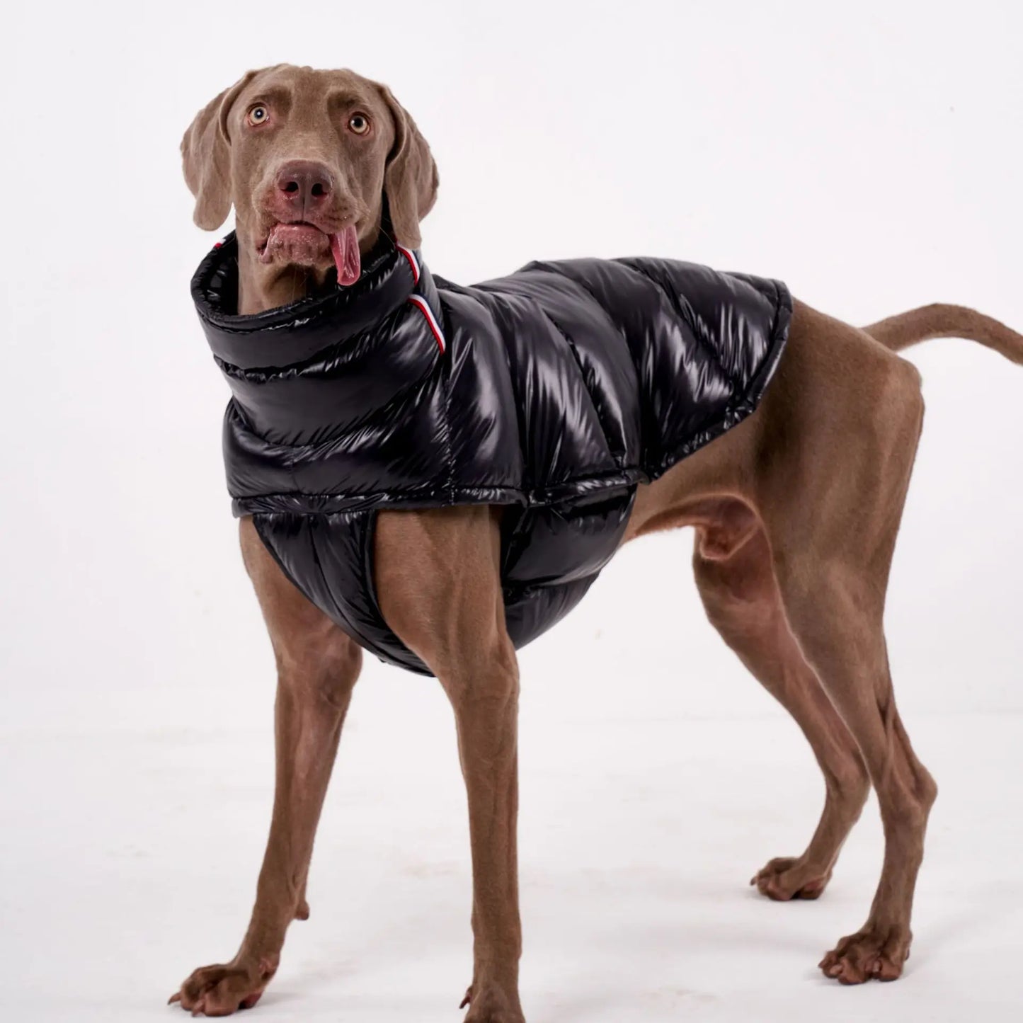 Warm, Windproof. Thick Down Coat
