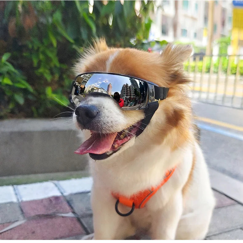 Dustproof, Windproof Goggles for Outdoors