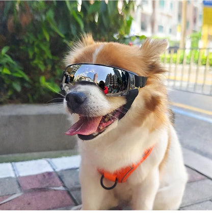 Dustproof, Windproof Goggles for Outdoors