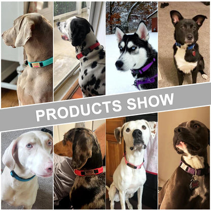 Adjustable Reflective Dog Collar