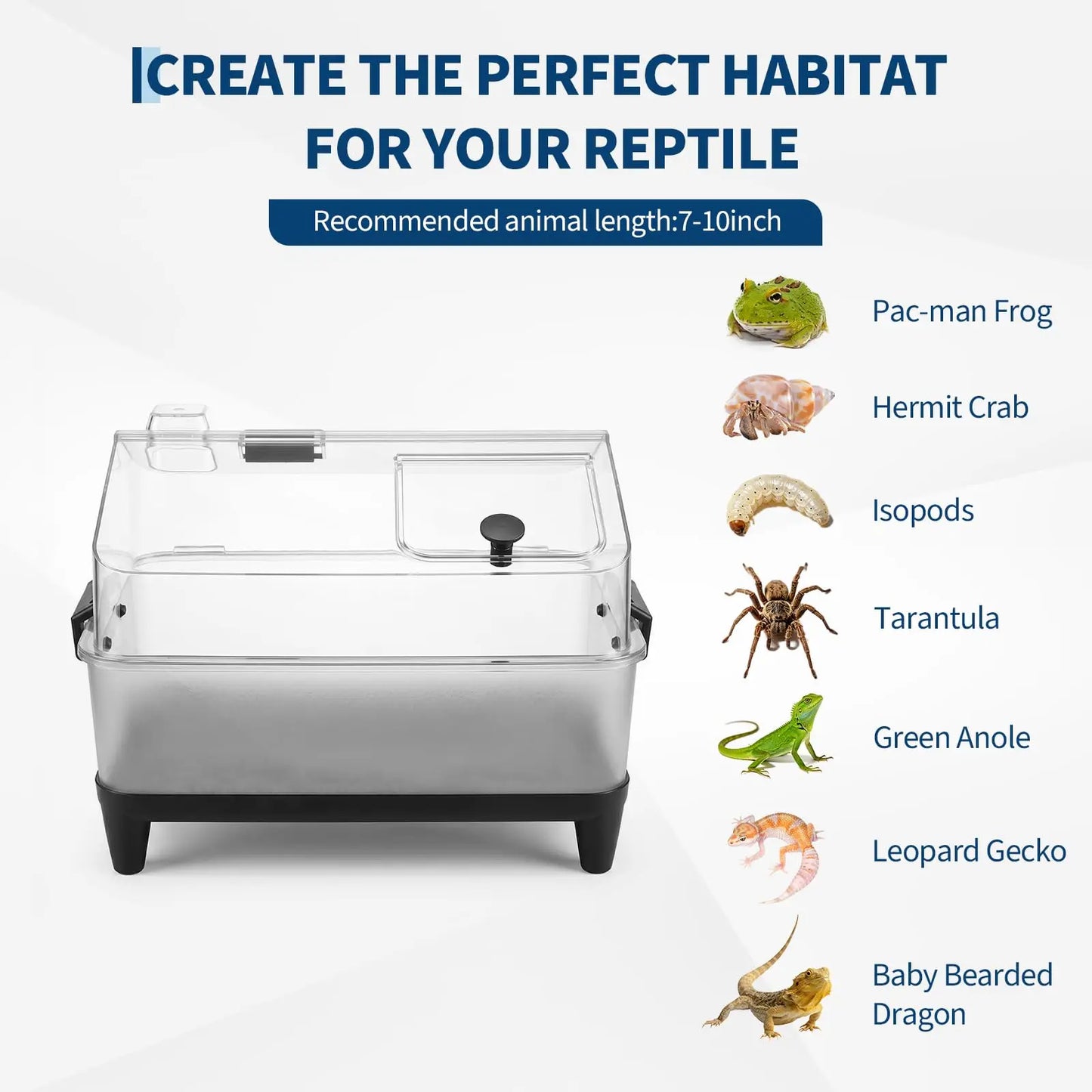 Small Acrylic Reptile Terrarium Kit With Lid
