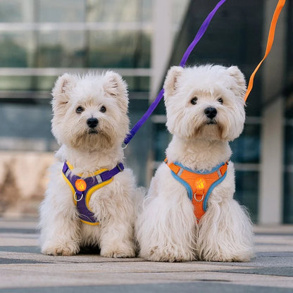Sm/Med Reflective Vest & Leash for Walking