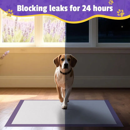 Lavender Scented Super Absorbent Leak-Proof Puppy Pads