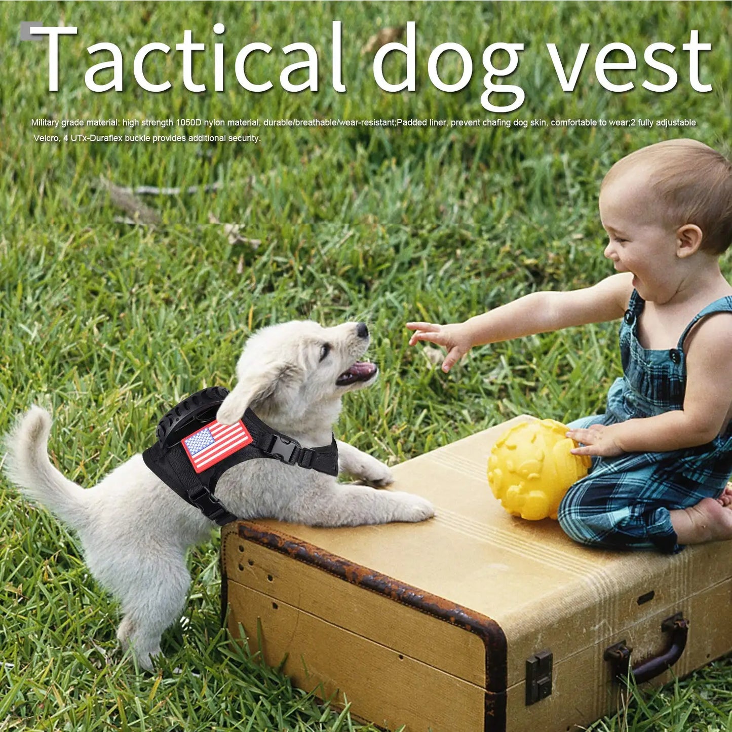 Tactical Puppy Harness Leash Set