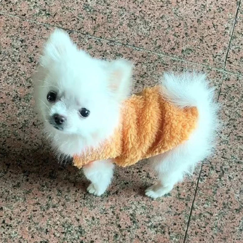 Cute Print Tea Cup Dog Sweater