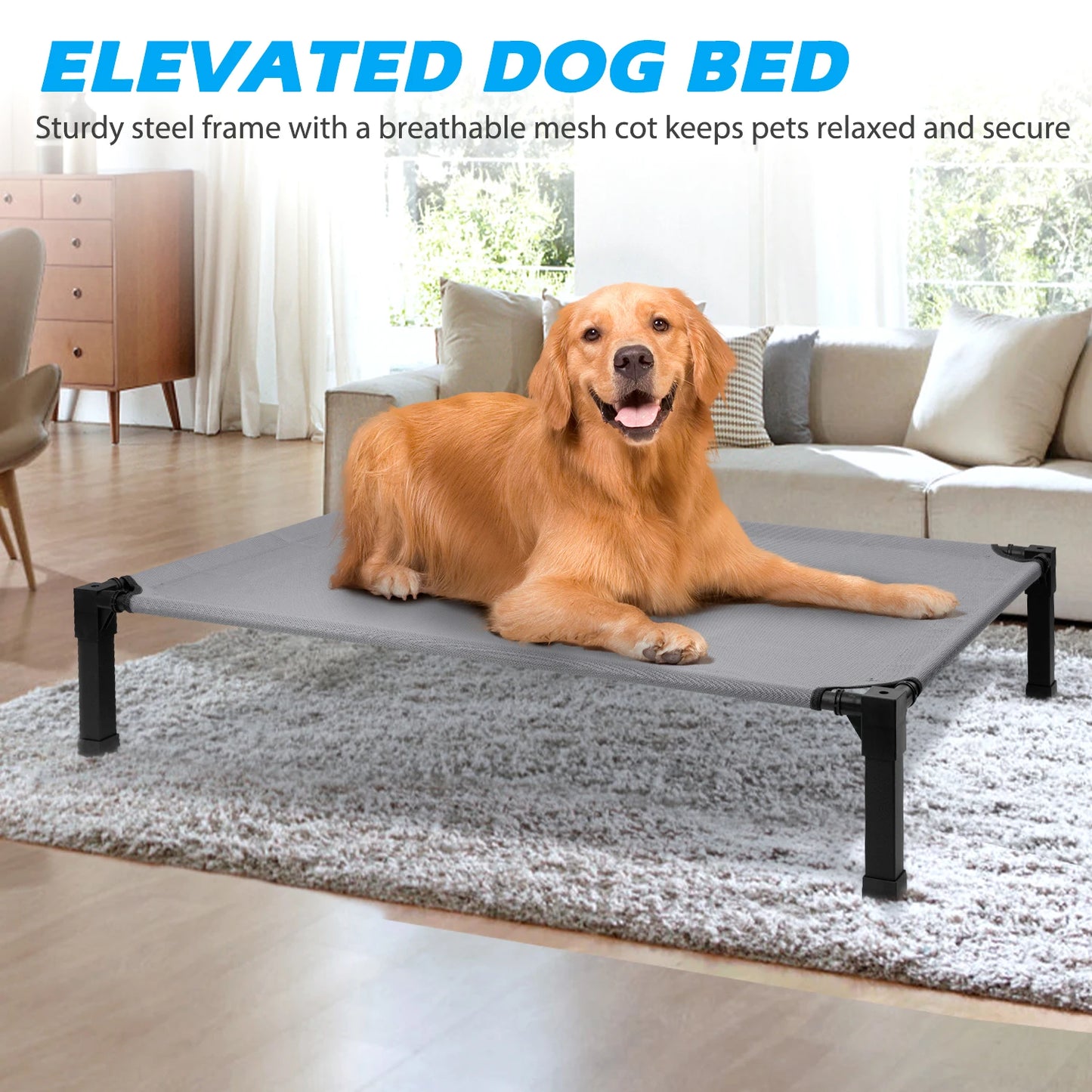 Cooling, Raised, Elevated Dog Bed
