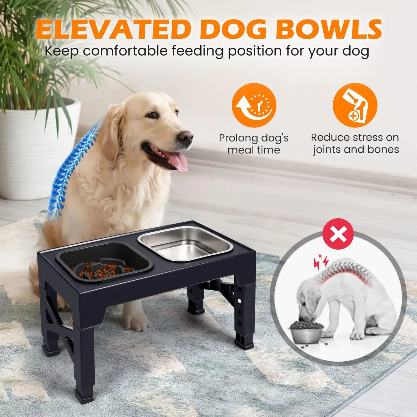 2-in-1 Elevated Slow Feeder Bowls