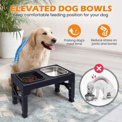 2-in-1 Elevated Slow Feeder Bowls