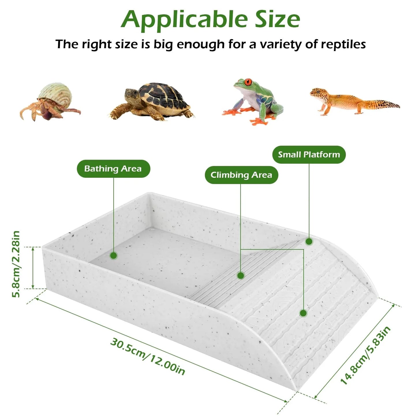 Anti Slip Tortoise Bath/Pool