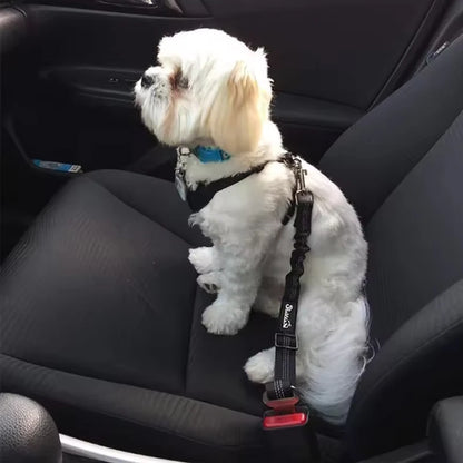 Dog safety car seat belt