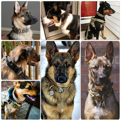 Adjustable, Tactical Dog Training Collar & Leash Set