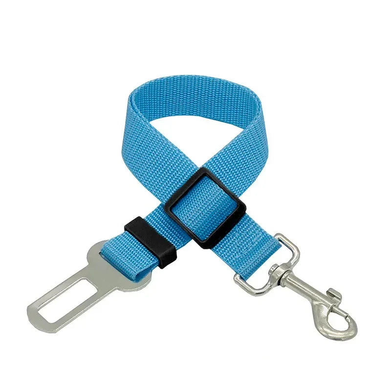 Dog Leash Safety Protector