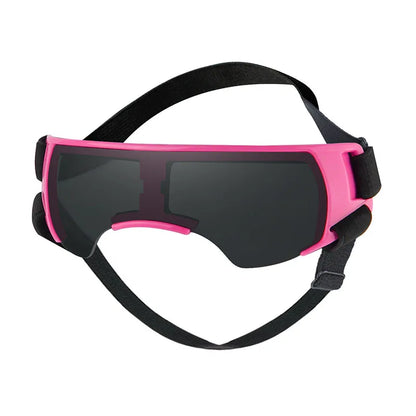 Small Breed Dog Sunglasses/Goggles