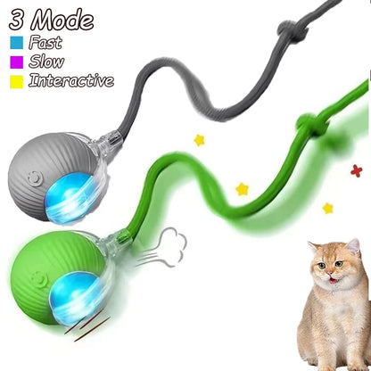 2Pcs Cat Interactive Ball