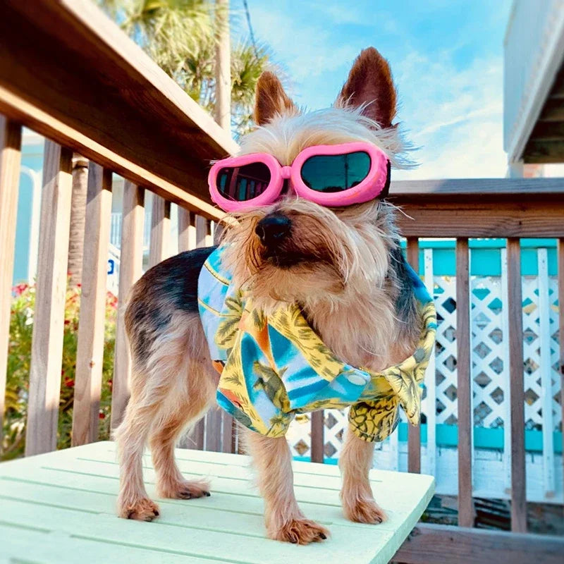 Fashion Small Dog Sunglasses w/UV Protection