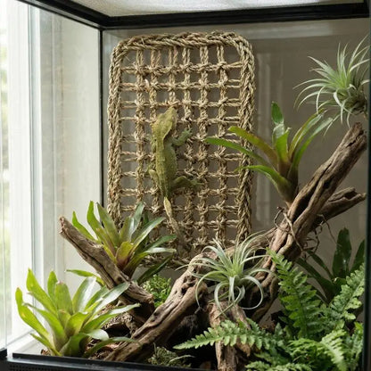 Reptile Handwoven Hammock, Grass Swing