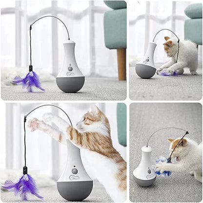 Funny Interactive Cat Teaser