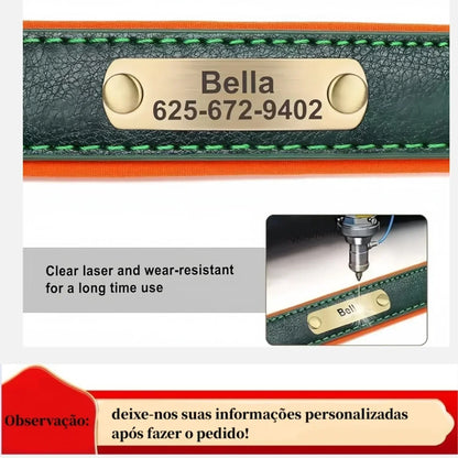 Customized Leather ID Nameplate Collar