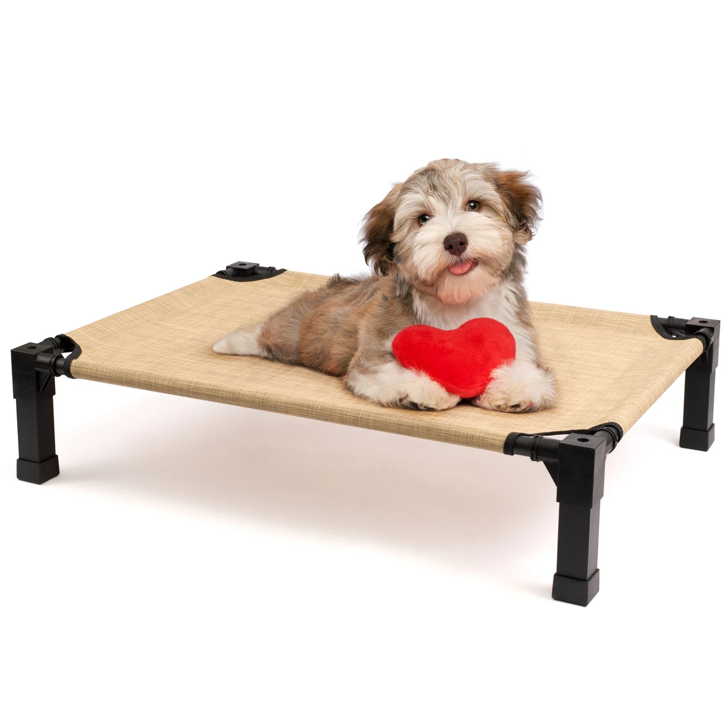 Cooling, Raised, Elevated Dog Bed