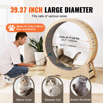 Large Wooden Cat Exercise Treadmill