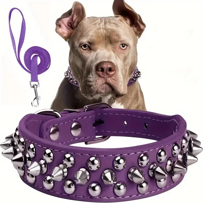 Adjustable, Leather Spiked Dog Collar and Leash Set