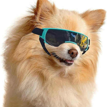 Small Breed Dog Sunglasses/Goggles