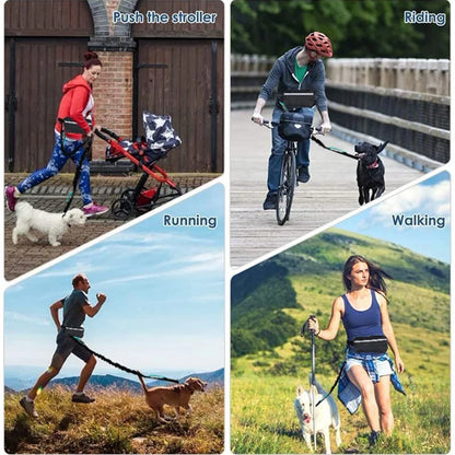 Hands Free Reflective Leash w/Waist Bag