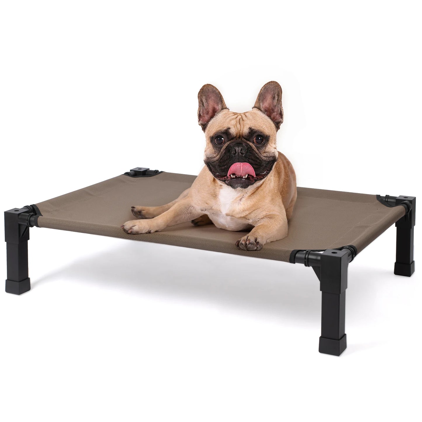 Cooling, Raised, Elevated Dog Bed