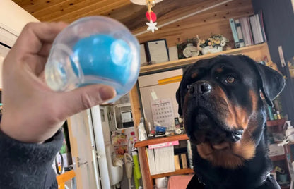 Amazing Squeaker Ball, Durable Floatable