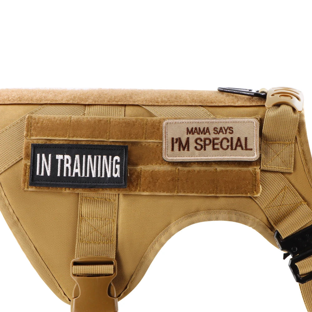 12 Pieces Bundle For Dog Vest