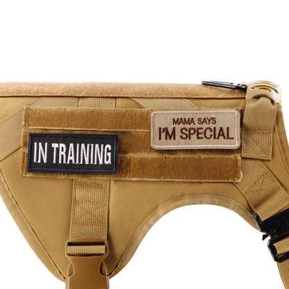 12 Pieces Bundle For Dog Vest